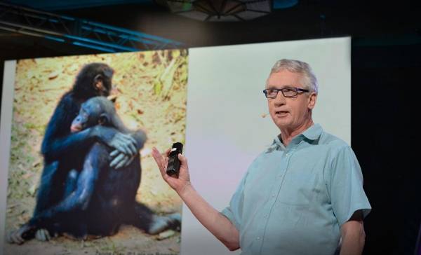 Primatoloog Frans de Waal overleden 