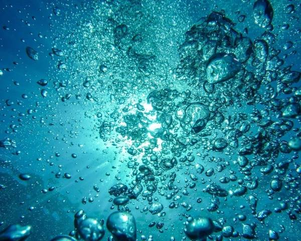 In, op en onder water (groep 3/4, verschijnt binnenkort)